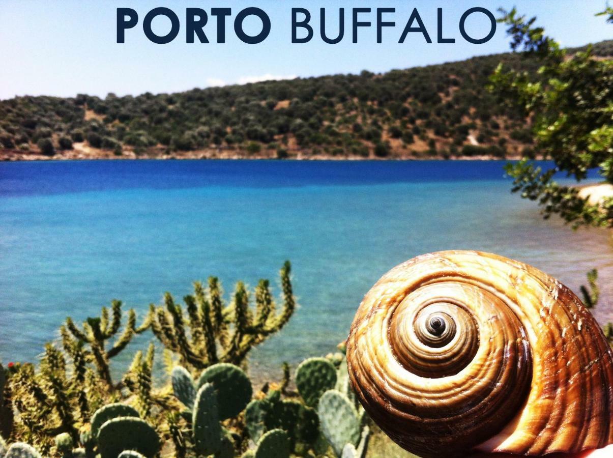 Sea Front Studio - Porto Boufalo - Evia Экстерьер фото