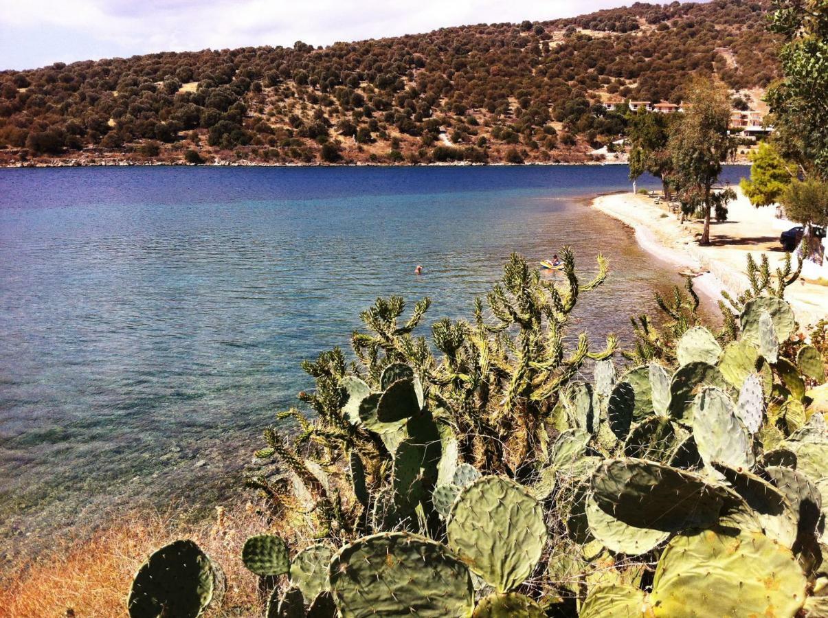Sea Front Studio - Porto Boufalo - Evia Экстерьер фото